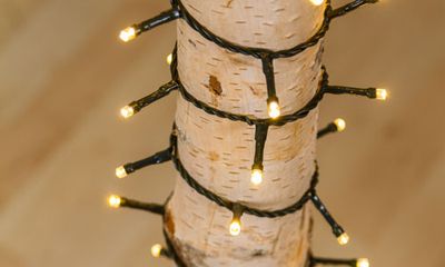 Guirnaldas led 5 mm
