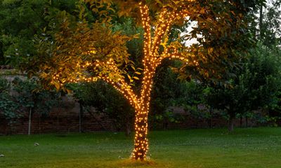 Guirnaldas de luces