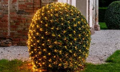 Redes de luces